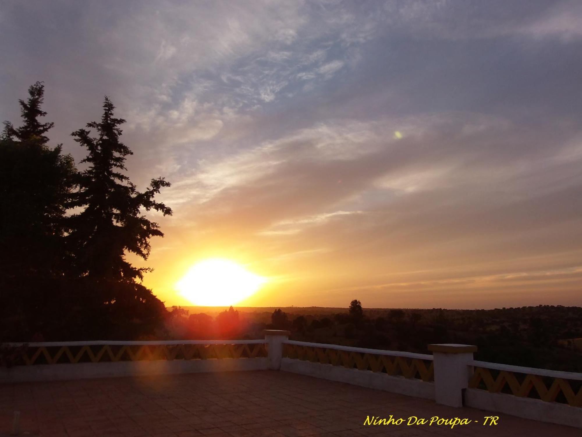Ninho Da Poupa Guest House Serpa Bagian luar foto