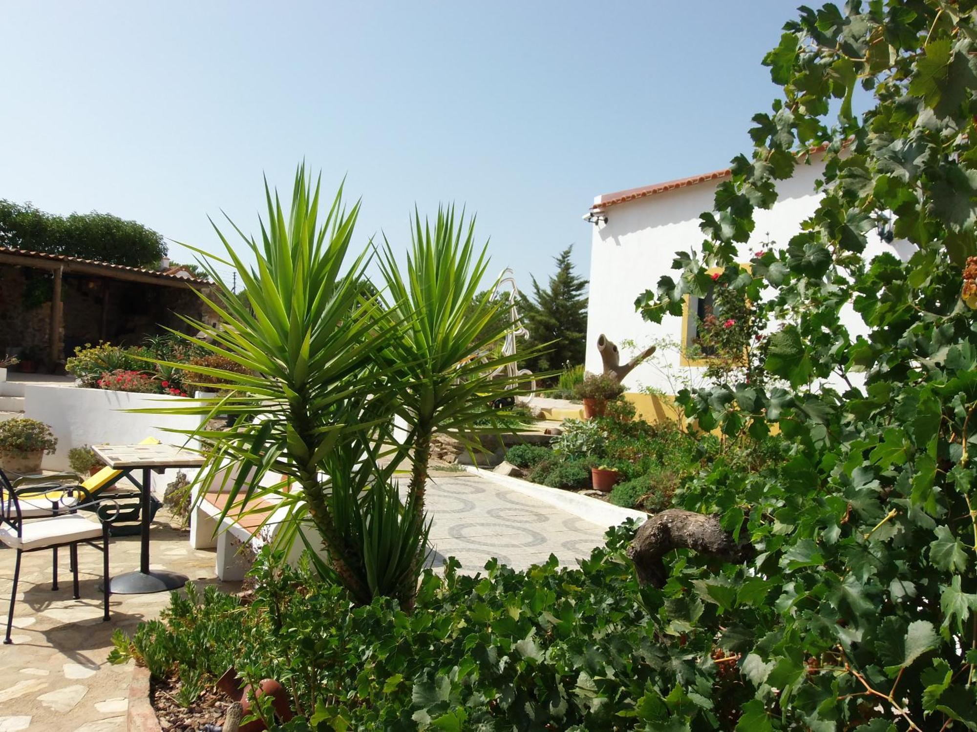 Ninho Da Poupa Guest House Serpa Bagian luar foto