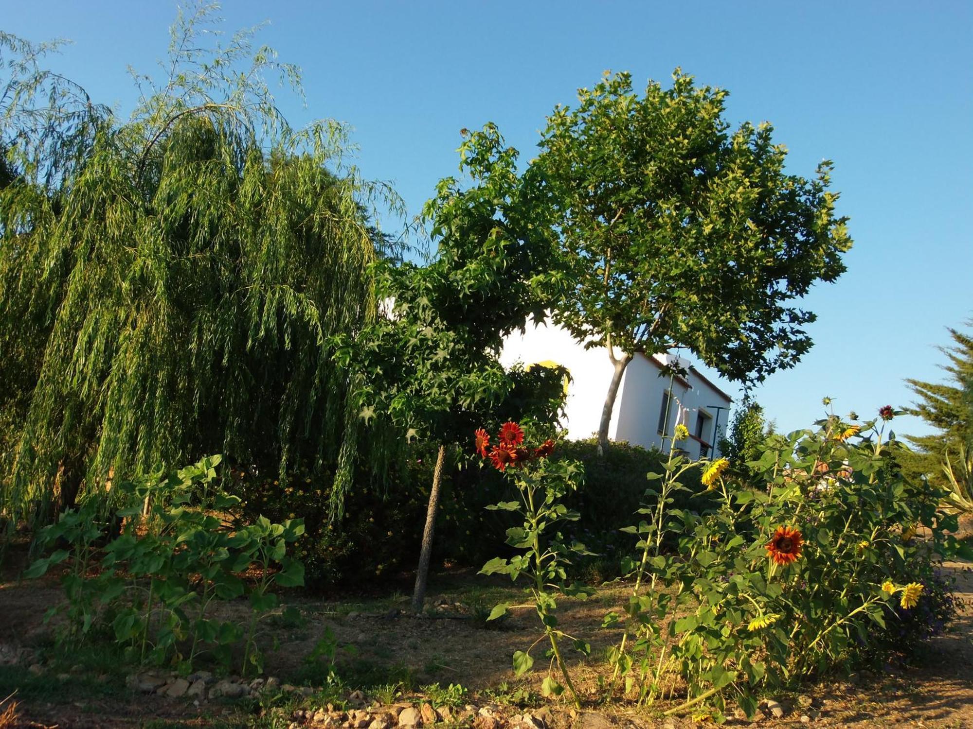 Ninho Da Poupa Guest House Serpa Bagian luar foto
