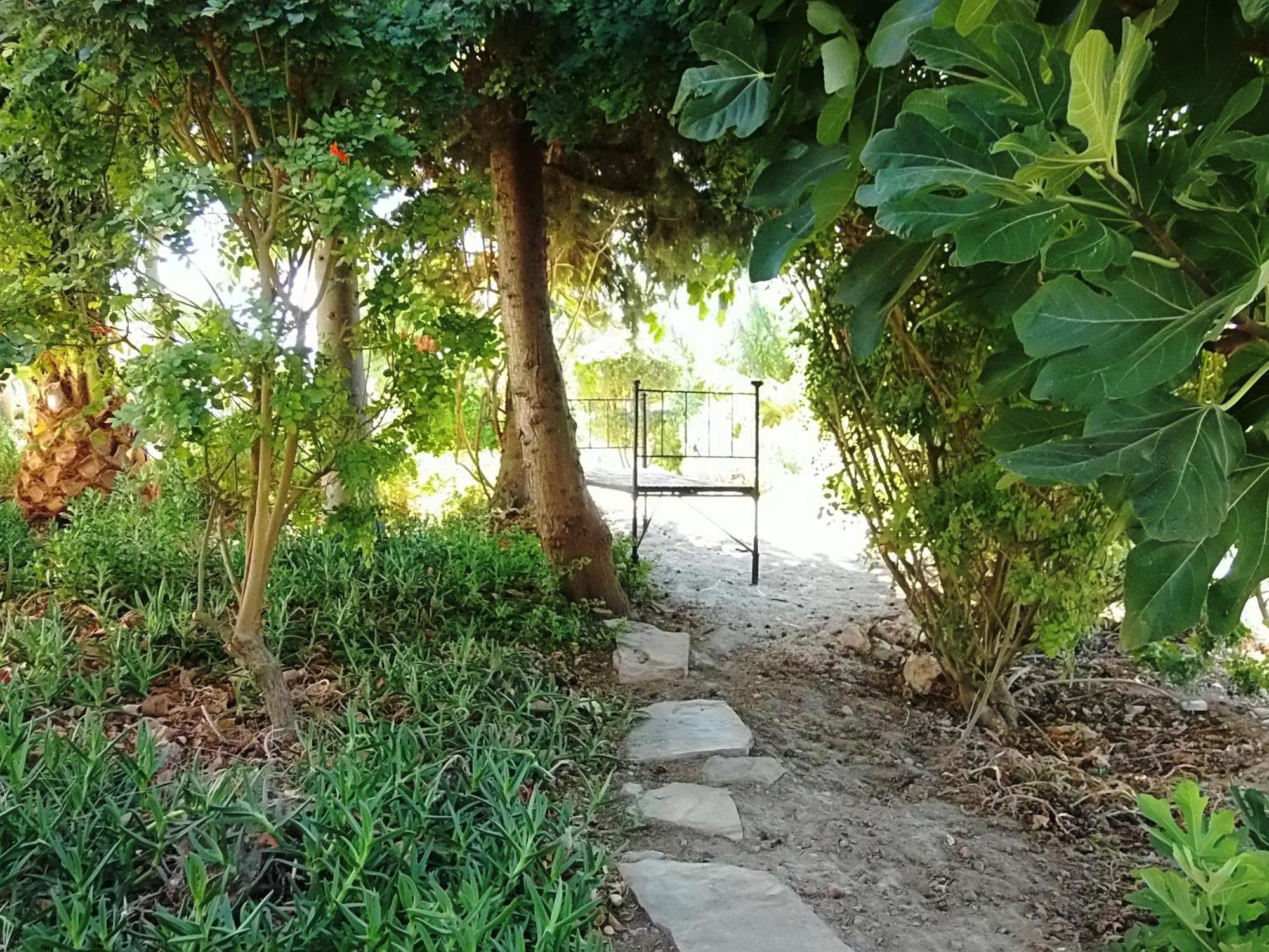 Ninho Da Poupa Guest House Serpa Bagian luar foto
